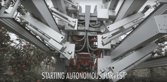 яблочный робот 1