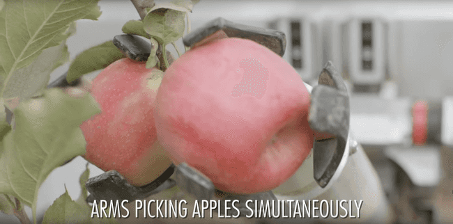 яблочный робот 1