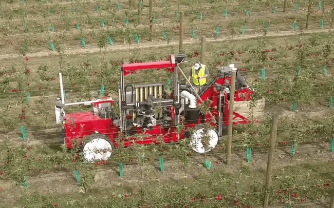 яблочный робот 1