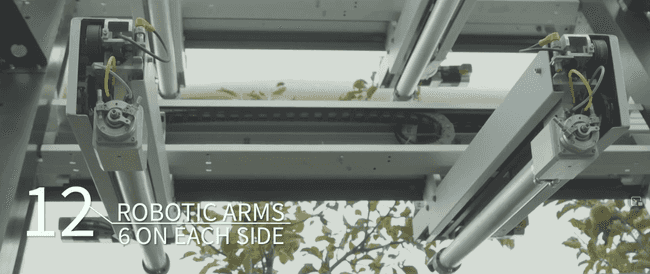 яблочный робот 1